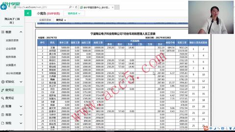 最新酒店會計賬務(wù)處理，提升效率與精確性的關(guān)鍵策略